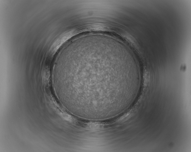 X0000115311065200911161715