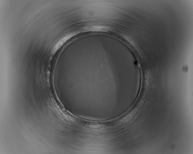 X0000115311066200911161715