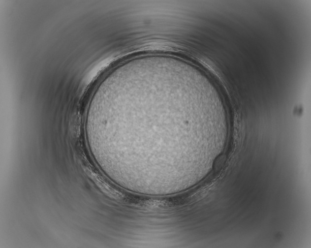 X0000115311067200911161715