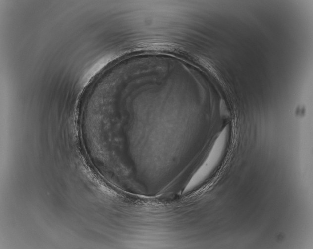 X0000115311071200911161715