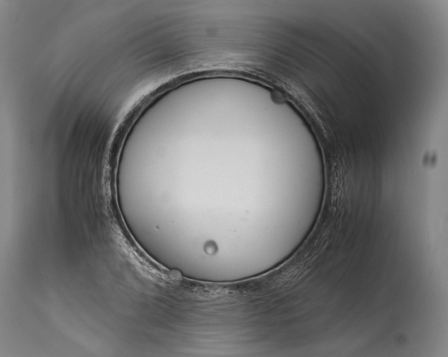 X0000115311072200911161715