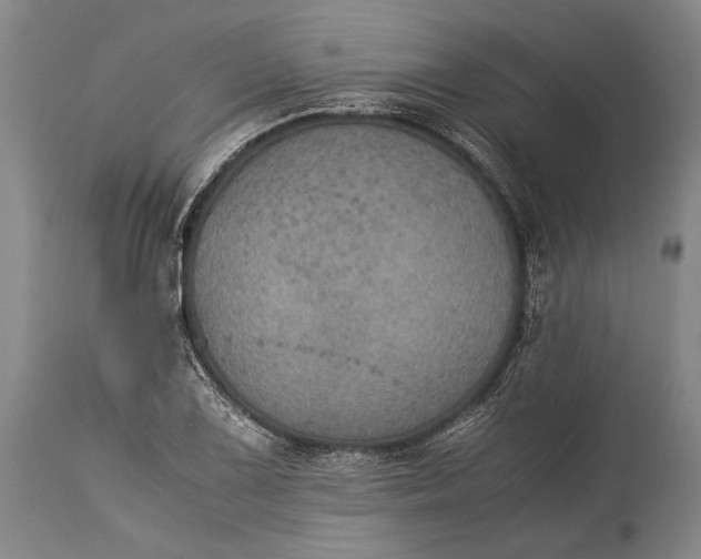 X0000115311075200911161715