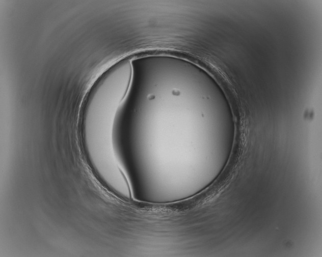 X0000115311077200911161715