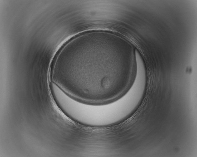 X0000115311084200911161715