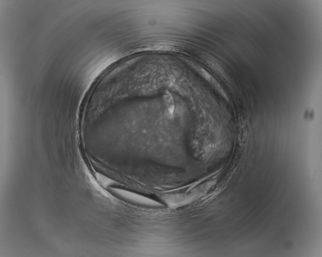 X0000115311087200911161715