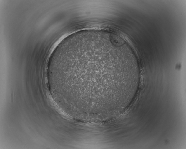 X0000115311091200911161715