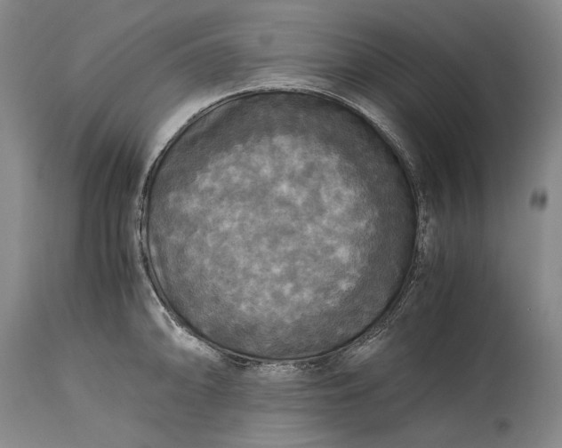 X0000115311094200911161715