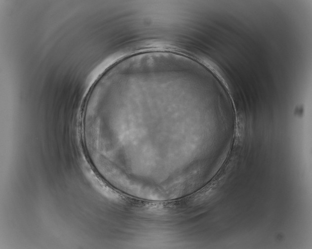 X0000115311098200911161715