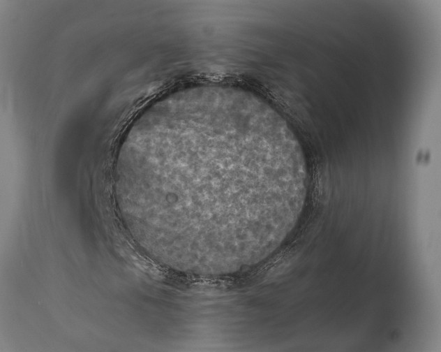 X0000115311105200911161714