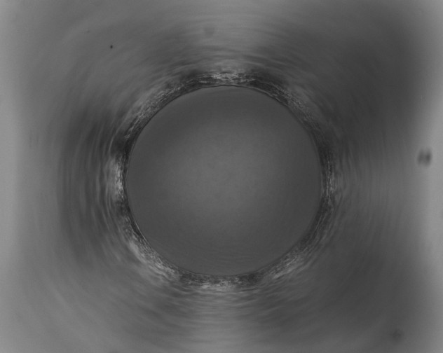 X0000115311106200911161714