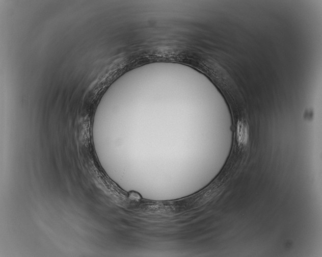 X0000115311107200911161714