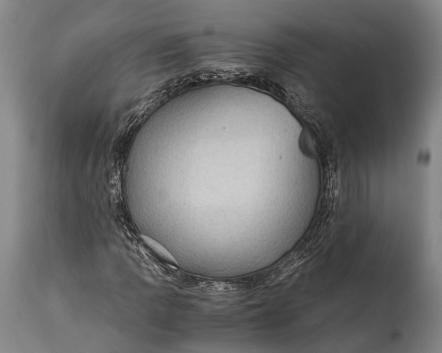 X0000115311109200911161714