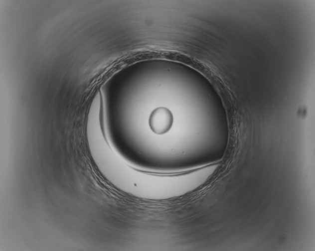 X0000115311110200911161714