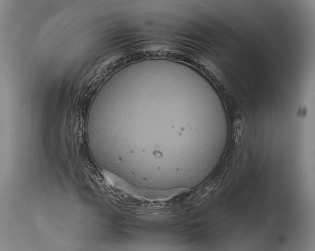 X0000115311111200911161714