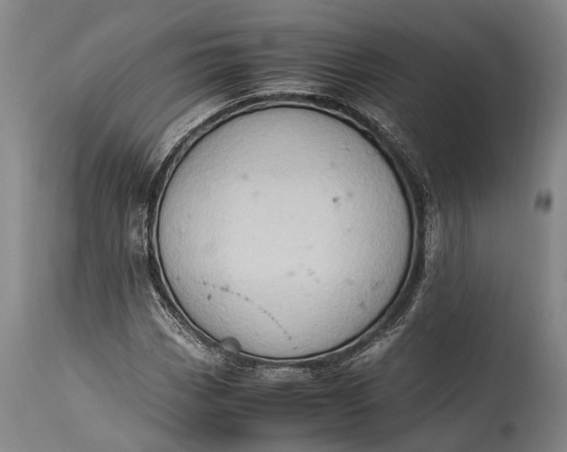 X0000115311113200911161714