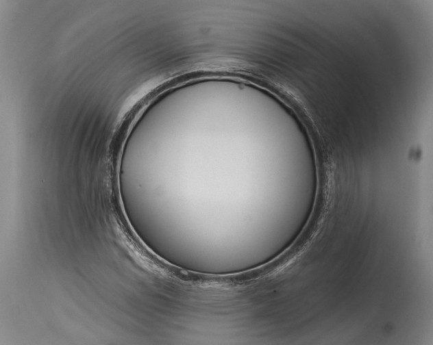 X0000115311114200911161714