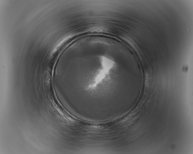 X0000115311115200911161714