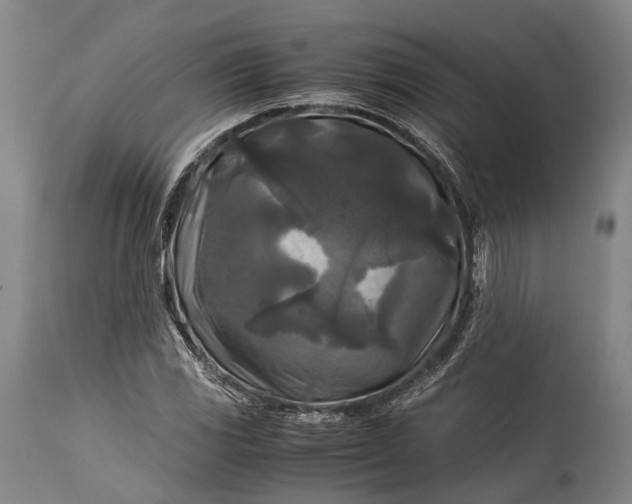 X0000115311117200911161714