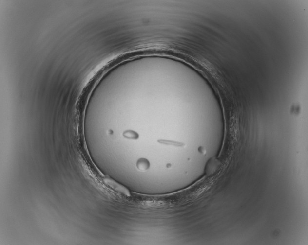 X0000115311118200911161714