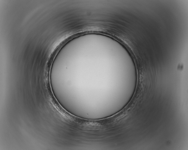 X0000115311119200911161714