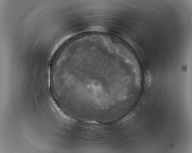 X0000115311123200911161715