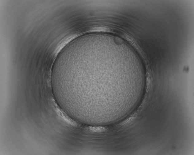 X0000115311129200911161715