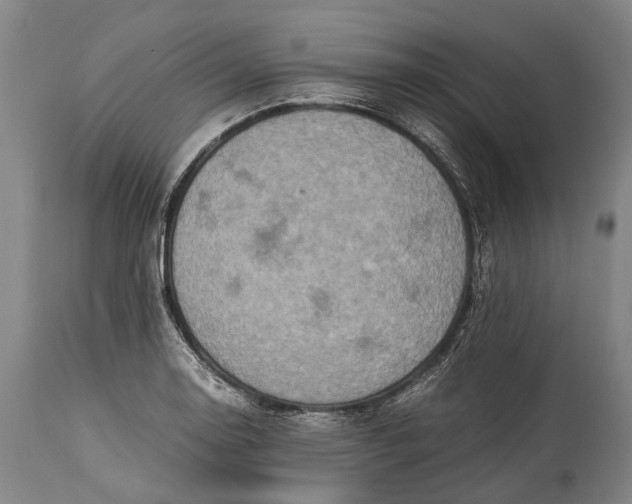 X0000115311130200911161715