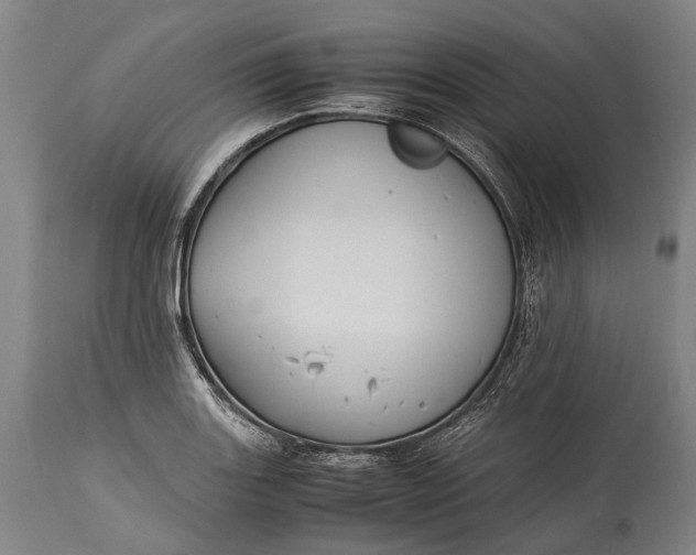 X0000115311131200911161715