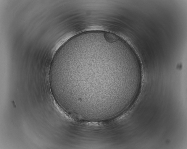 X0000115311137200911161715