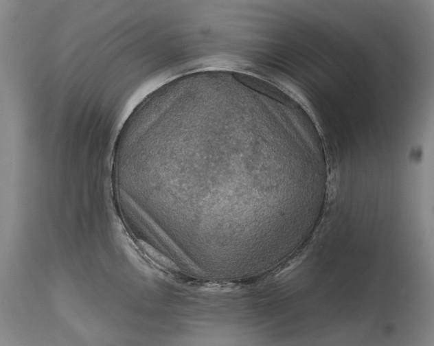 X0000115311146200911161715