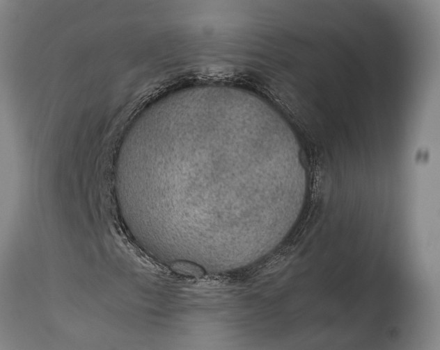 X0000115311153200911161714