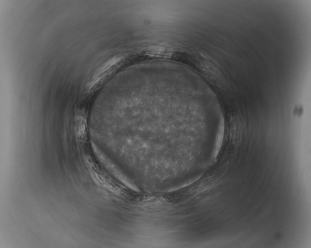 X0000115311154200911161714