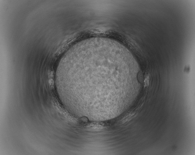 X0000115311156200911161714