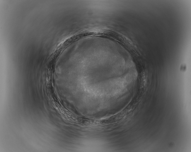 X0000115311158200911161714