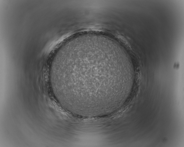 X0000115311159200911161714