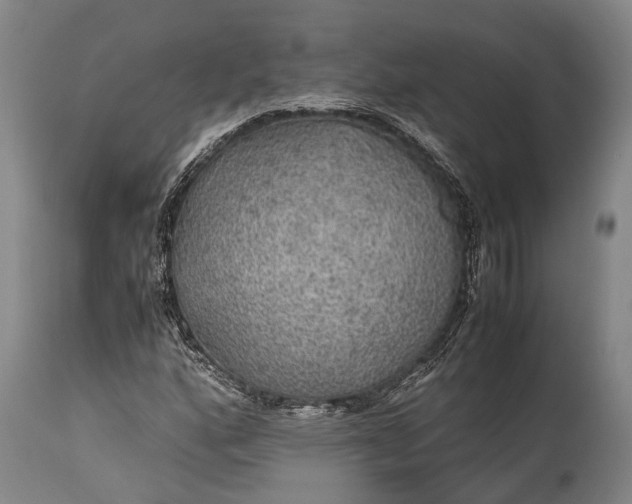 X0000115311160200911161714