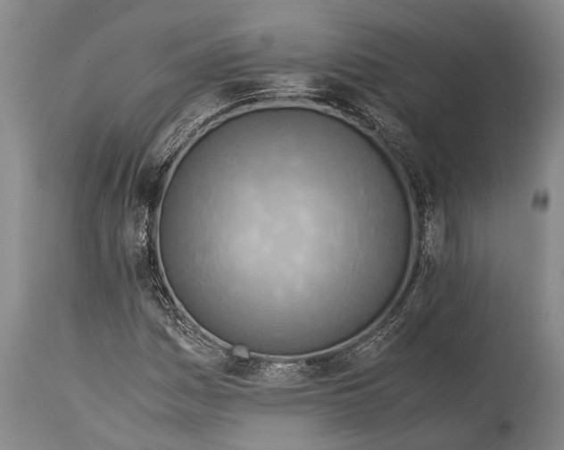 X0000115311161200911161714