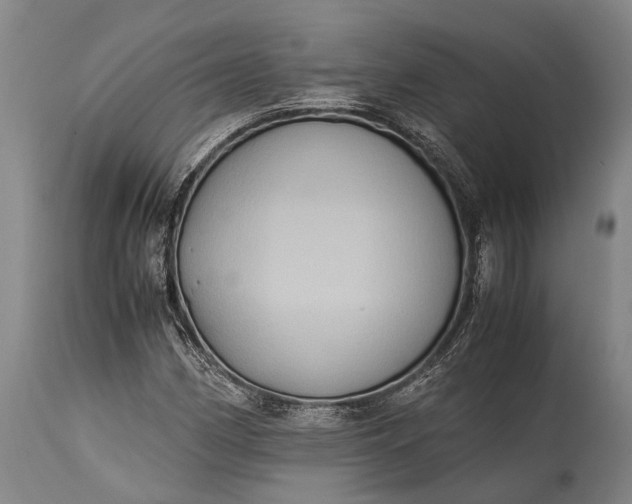 X0000115311162200911161714