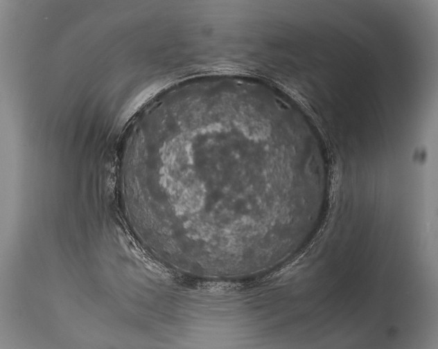 X0000115311163200911161714