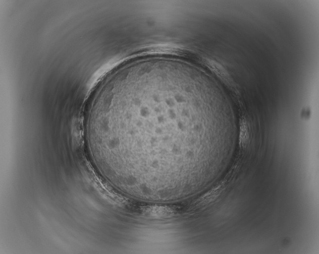 X0000115311164200911161714