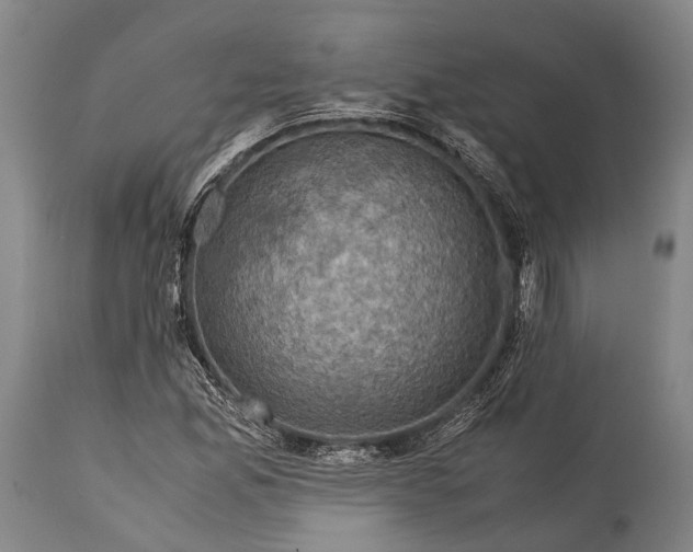 X0000115311165200911161714