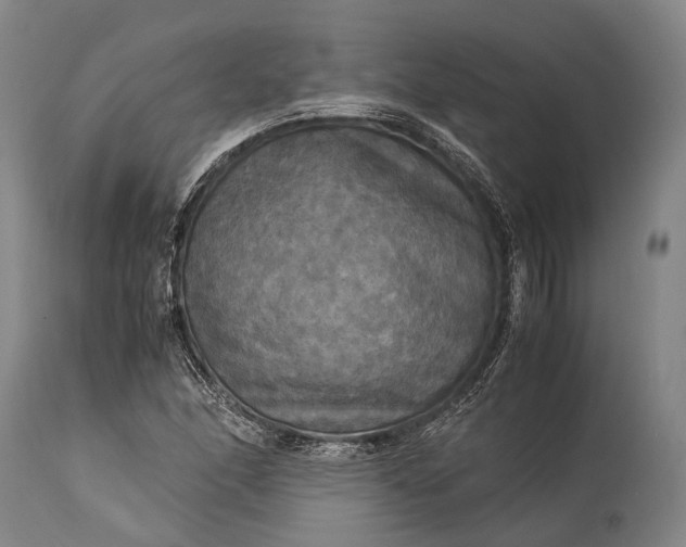 X0000115311166200911161714