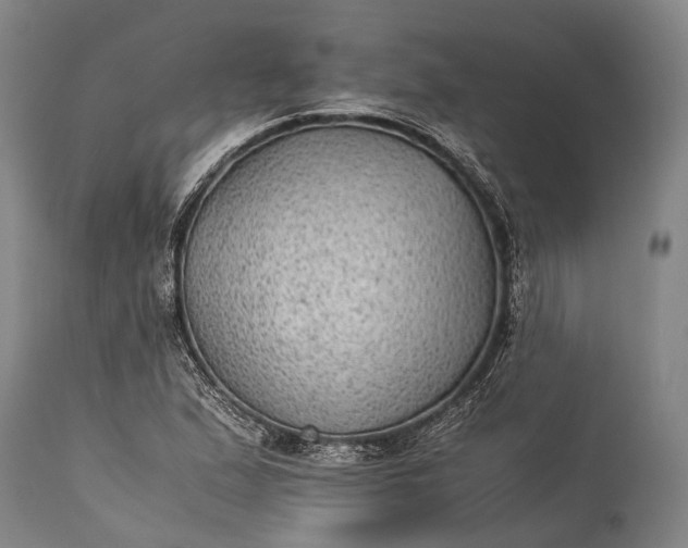 X0000115311167200911161714