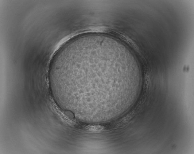 X0000115311168200911161714