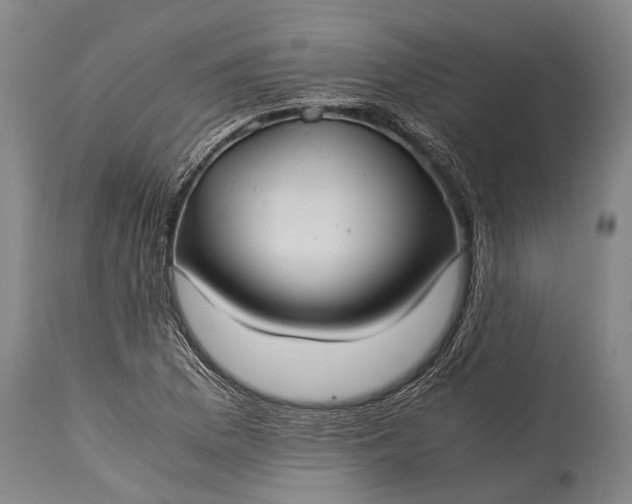 X0000115311169200911161714