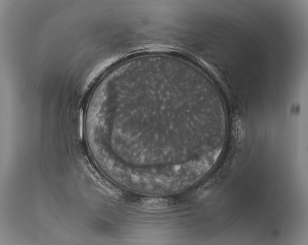 X0000115311171200911161714