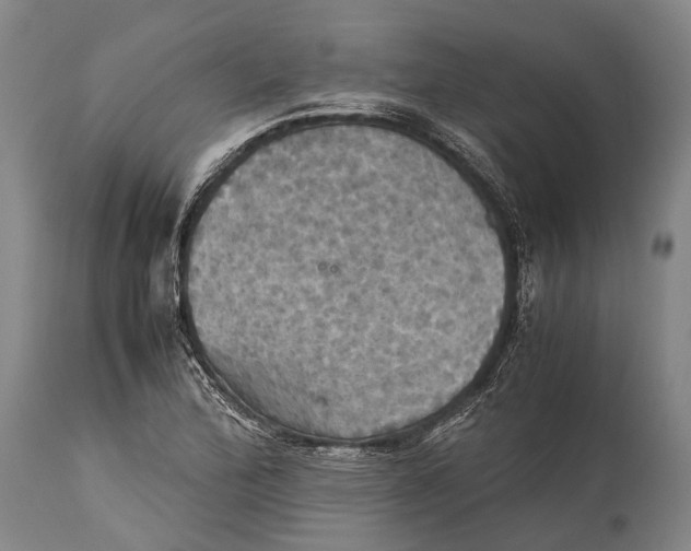 X0000115311172200911161714