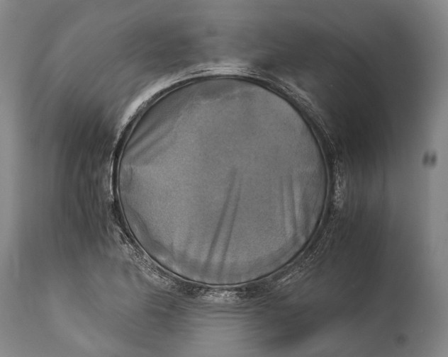 X0000115311174200911161714