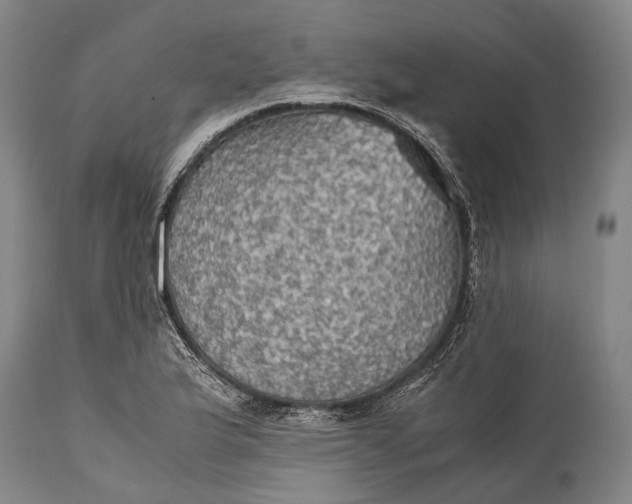 X0000115311175200911161714