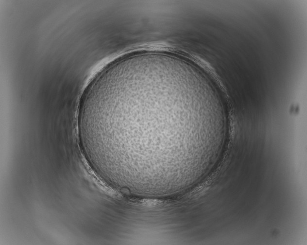 X0000115311176200911161714